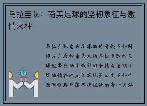 乌拉圭队：南美足球的坚韧象征与激情火种