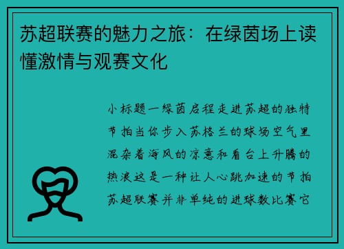 苏超联赛的魅力之旅：在绿茵场上读懂激情与观赛文化